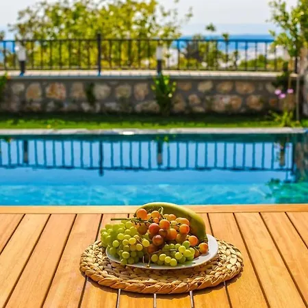 2+1 Jakuzili - Ic Ve Dis Havuzlu - Korunakli Villa